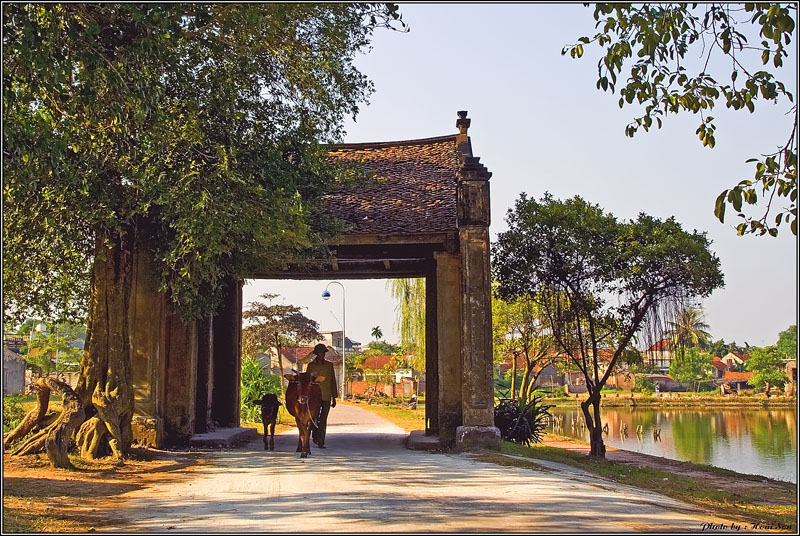 co-gi-dep-o-lang-co-duong-lam-ngoi-lang-ngay-sat-ha-noi