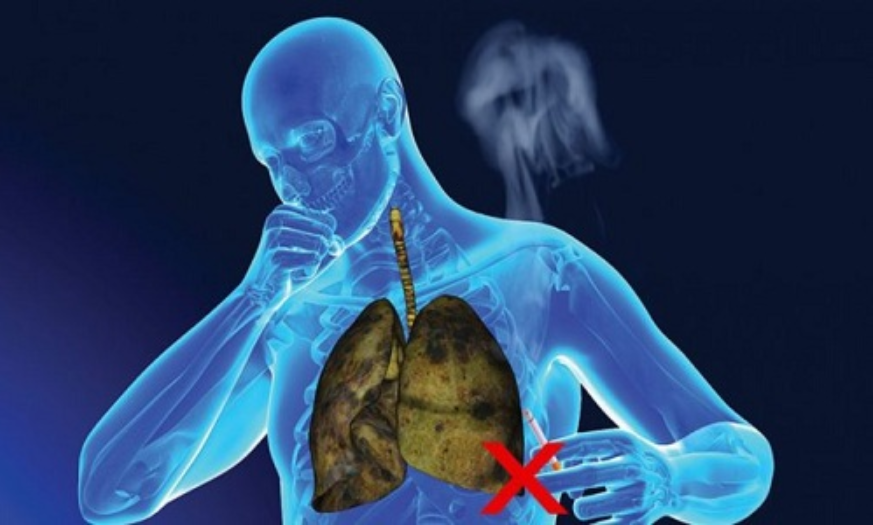 Sự nguy hiểm và tác hại của thuốc lá đến sức khoẻ của mỗi người 