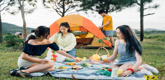 đi picnic ở đâu?