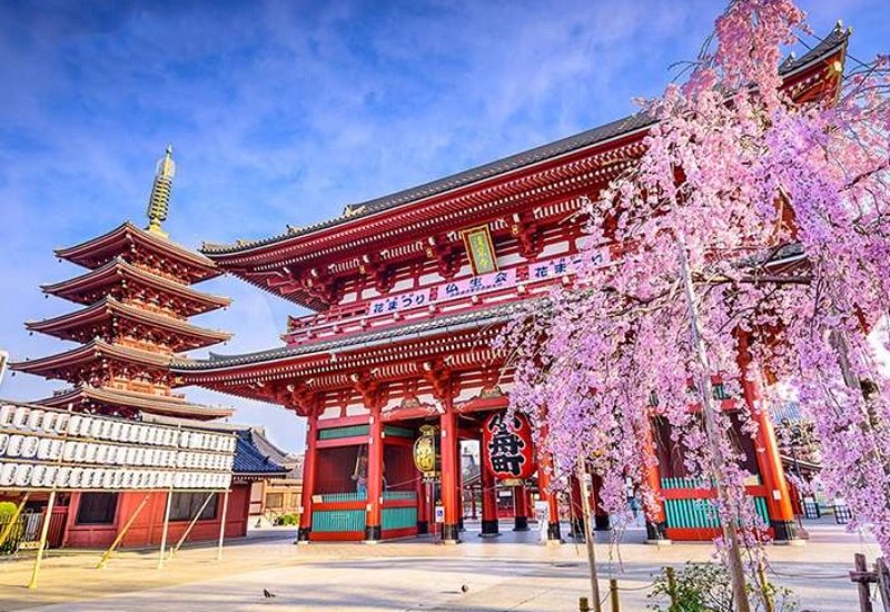 du lịch Nhật Bản đền Sensoji