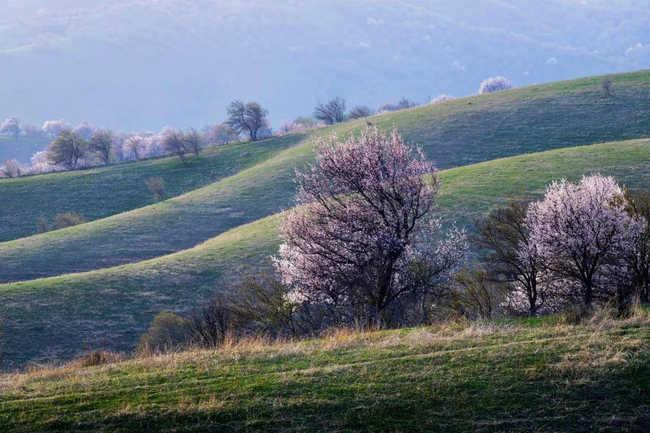 Du lịch Tân Cương Du lịch Tân Cương