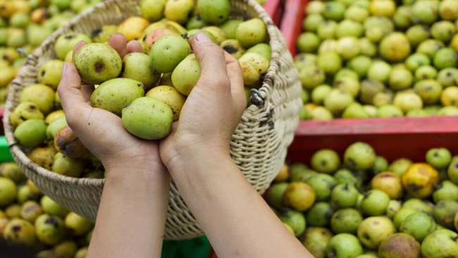 ăn gì Mù Cang Chải 