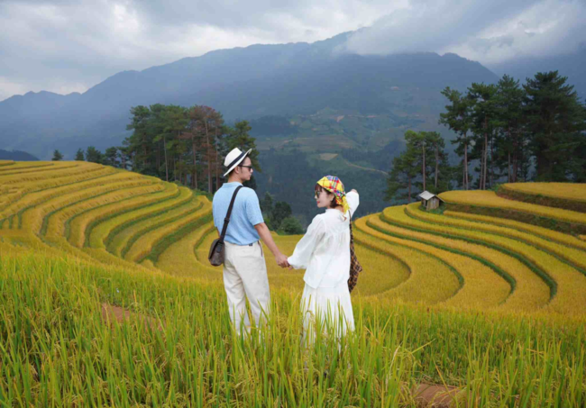 Mù Cang Chải mùa lúa chín