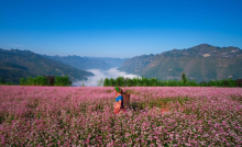 Du lịch Hà Giang ở đâu đẹp