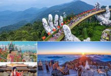 Tháng 1 nên đi du lịch ở đâu? Gợi ý 5+ thiên đường “săn hoa – săn mây” đầu năm 2026 tháng 1 nên đi du lịch ở đâu