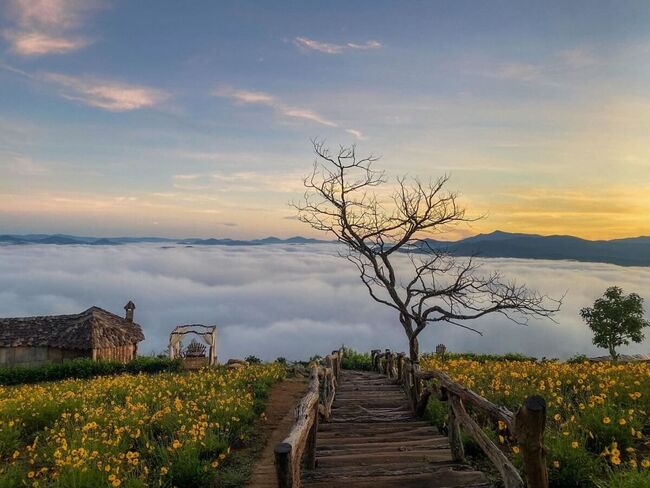 du lịch đà lạt du lịch đà lạt