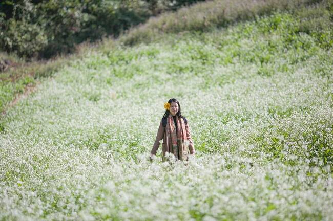 Mùa hoa mận Mộc Châu tháng mấy