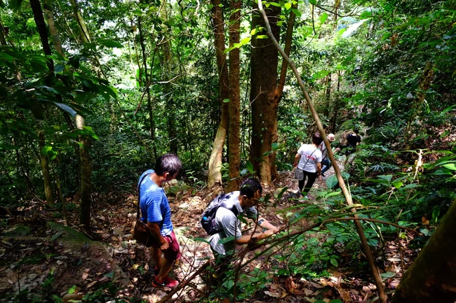 trekking cho người mới bắt đầu