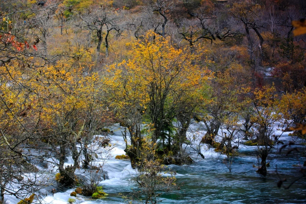 cửu trại câu trung quốc