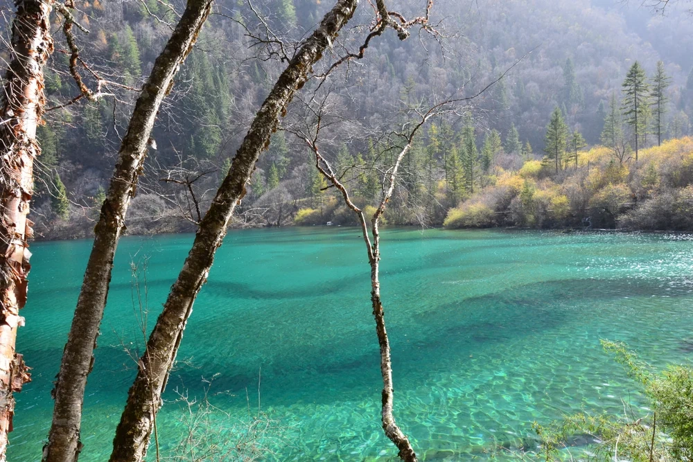 cửu trại câu trung quốc