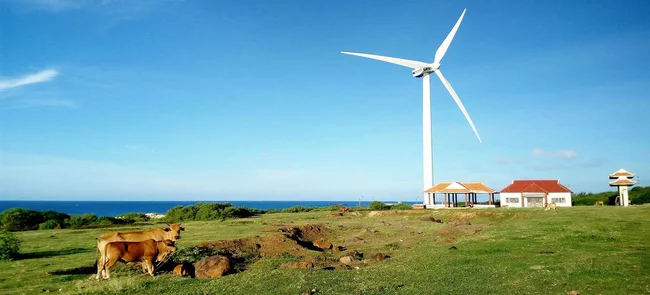 kinh nghiệm du lịch Phú Quý