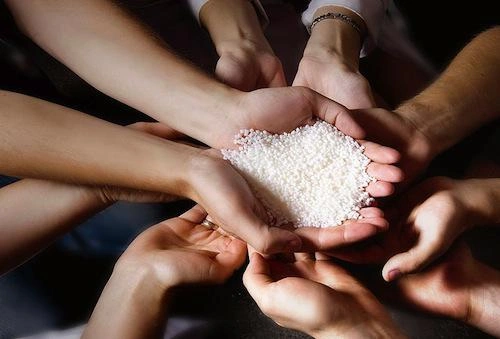 hoạt động từ thiện