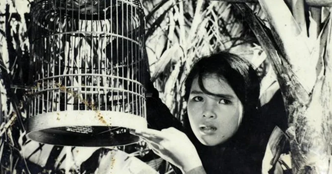 Con chim vành khuyên