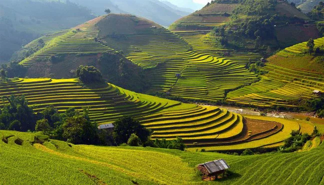 Lao Chải ở đâu