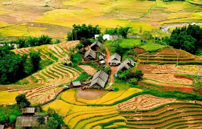 Tả Phìn Sapa